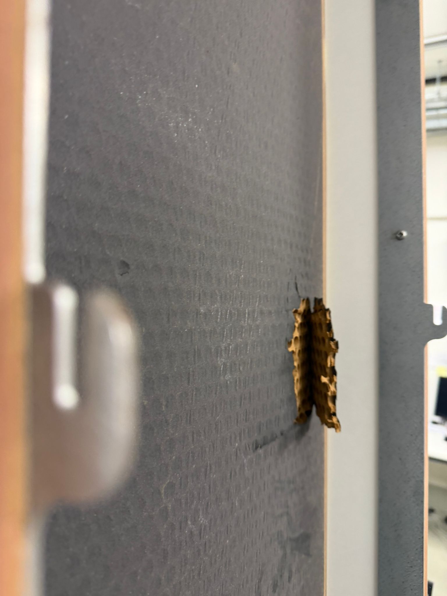 Begutachtung eines abgestürzten Deckenelements im Ballsaal – Bild 3