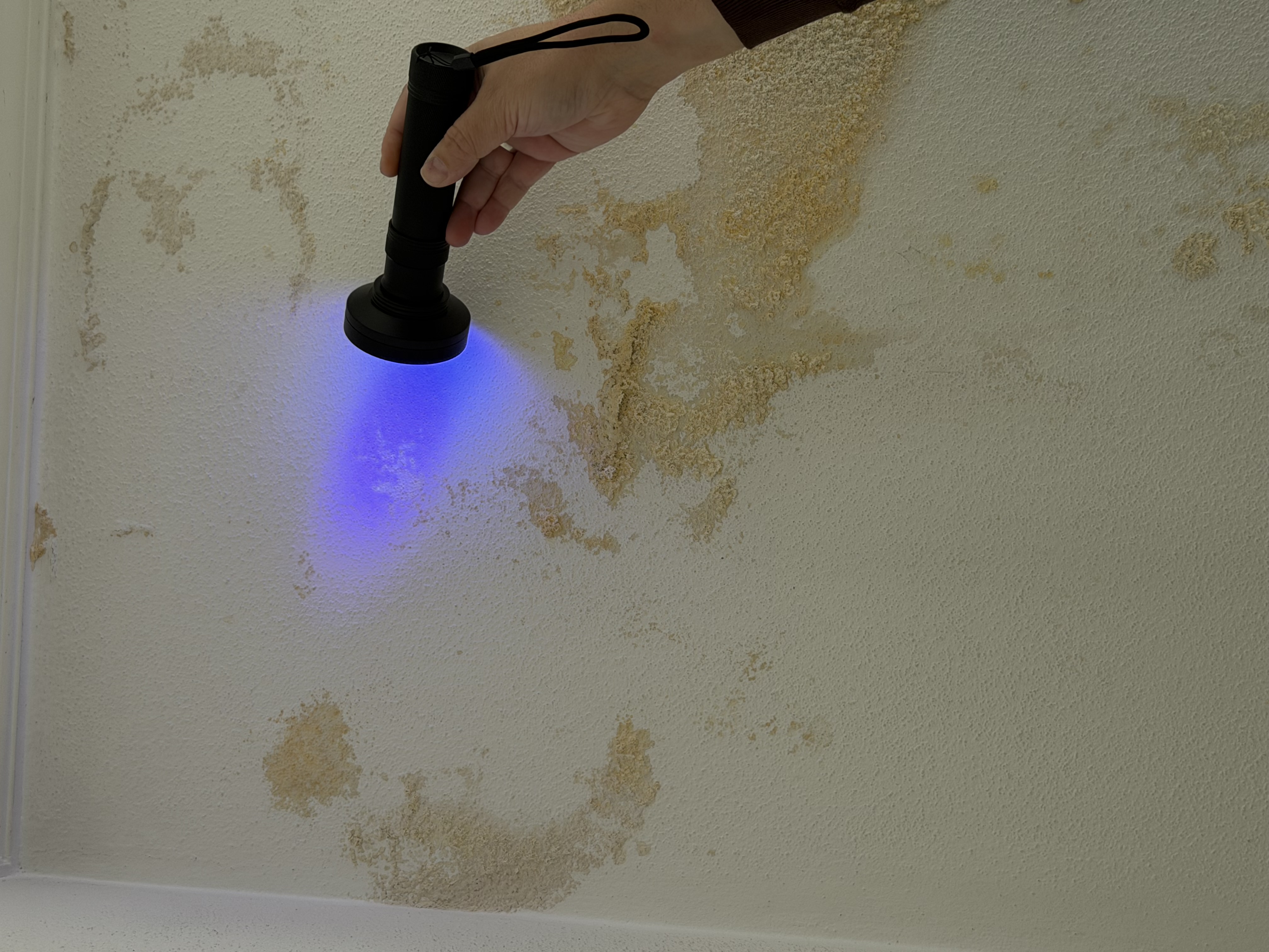 Leckortung und Feuchtemessung an Bauteilen – Bild 5