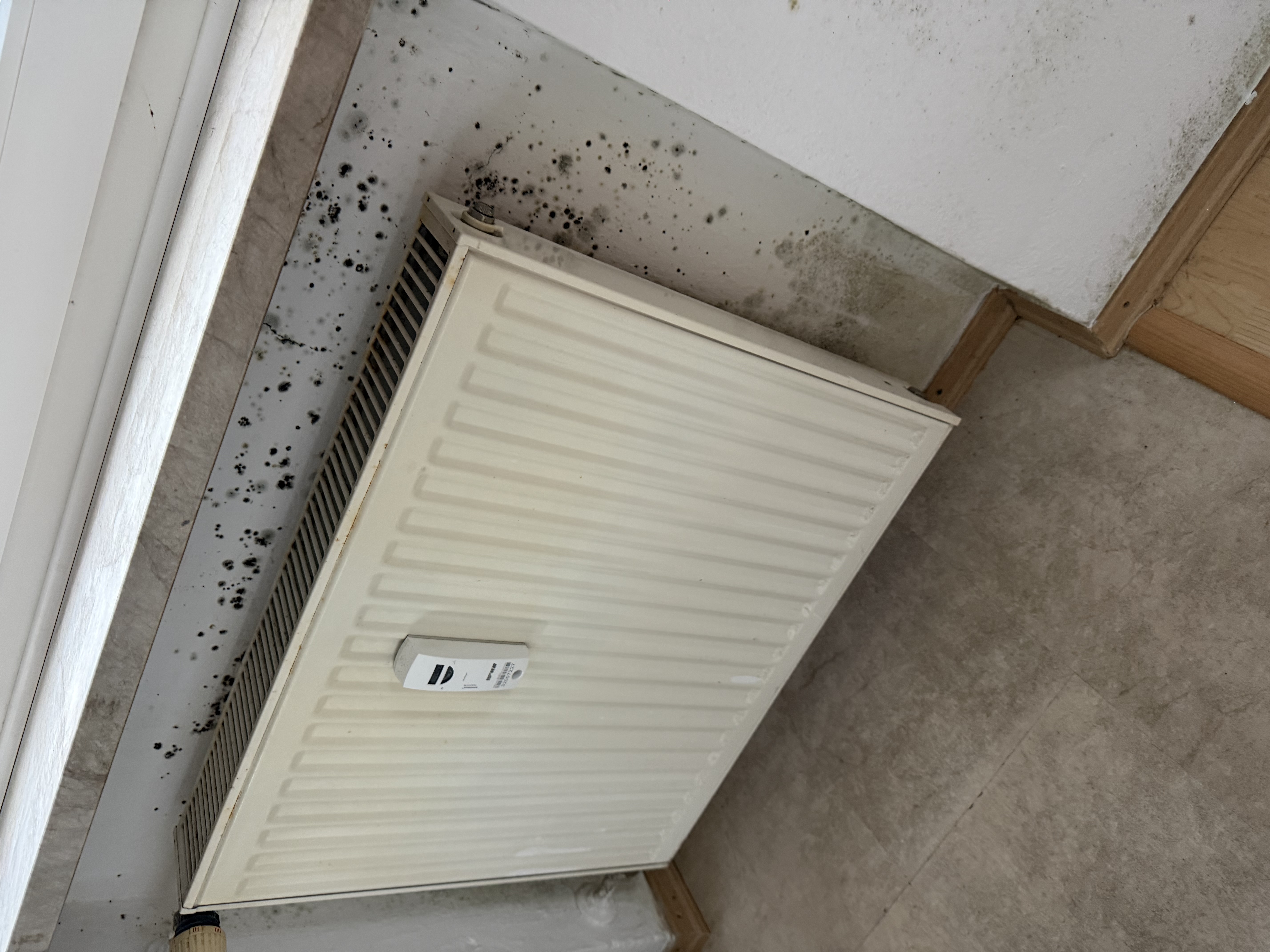 Wasserschaden und Feuchtigkeitsanalyse an Bauteilen – Bild 3