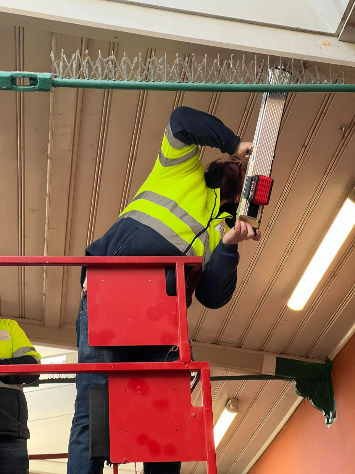 Holzschutzuntersuchung am Bahnhof München-Pasing – Bild 3