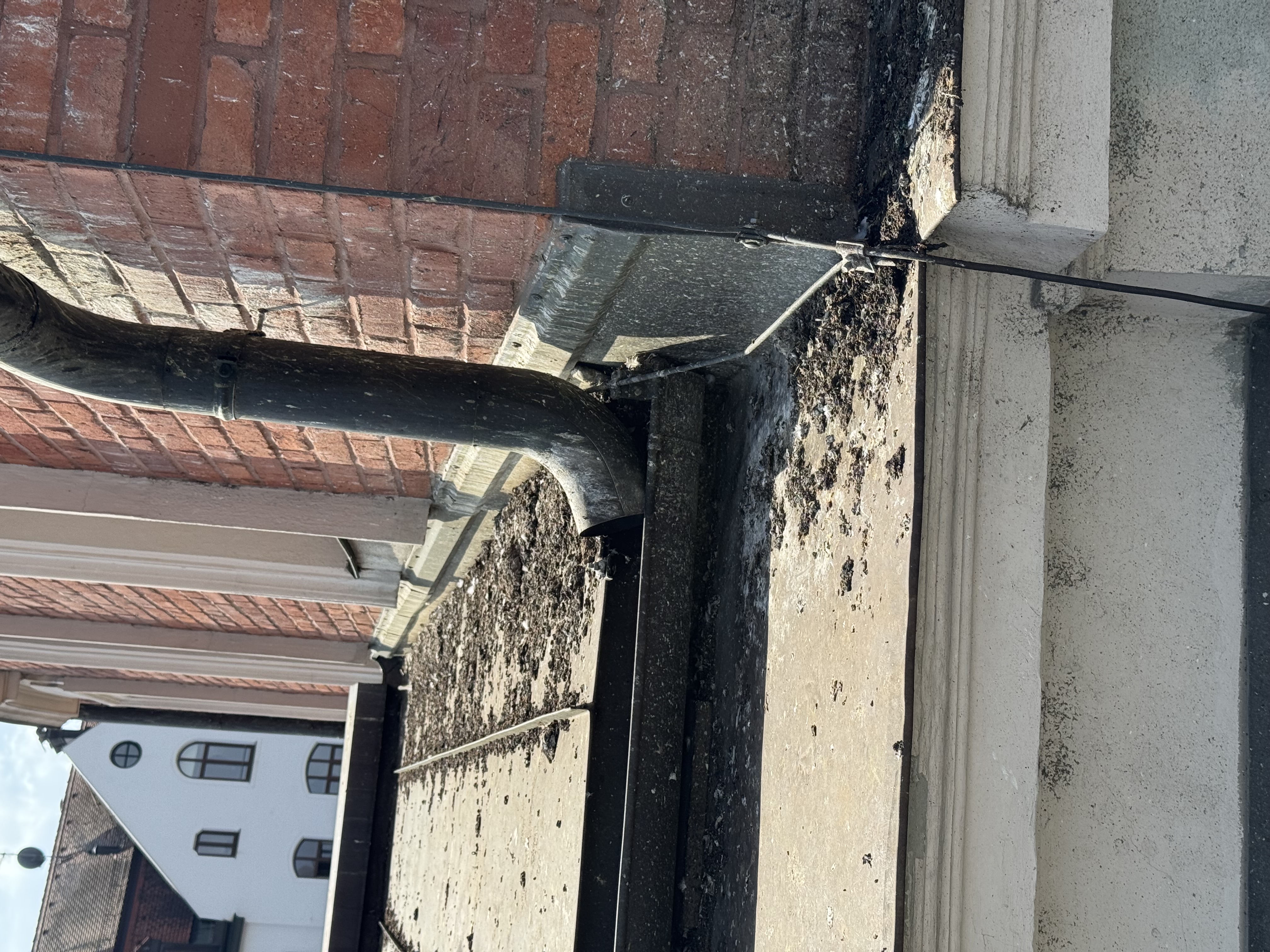 Holzschutzuntersuchung am Bahnhof München-Pasing – Bild 7